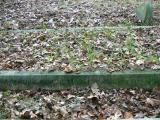 image of grave number 206255